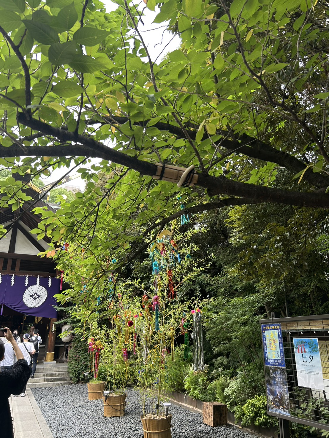 東京大神宮 2