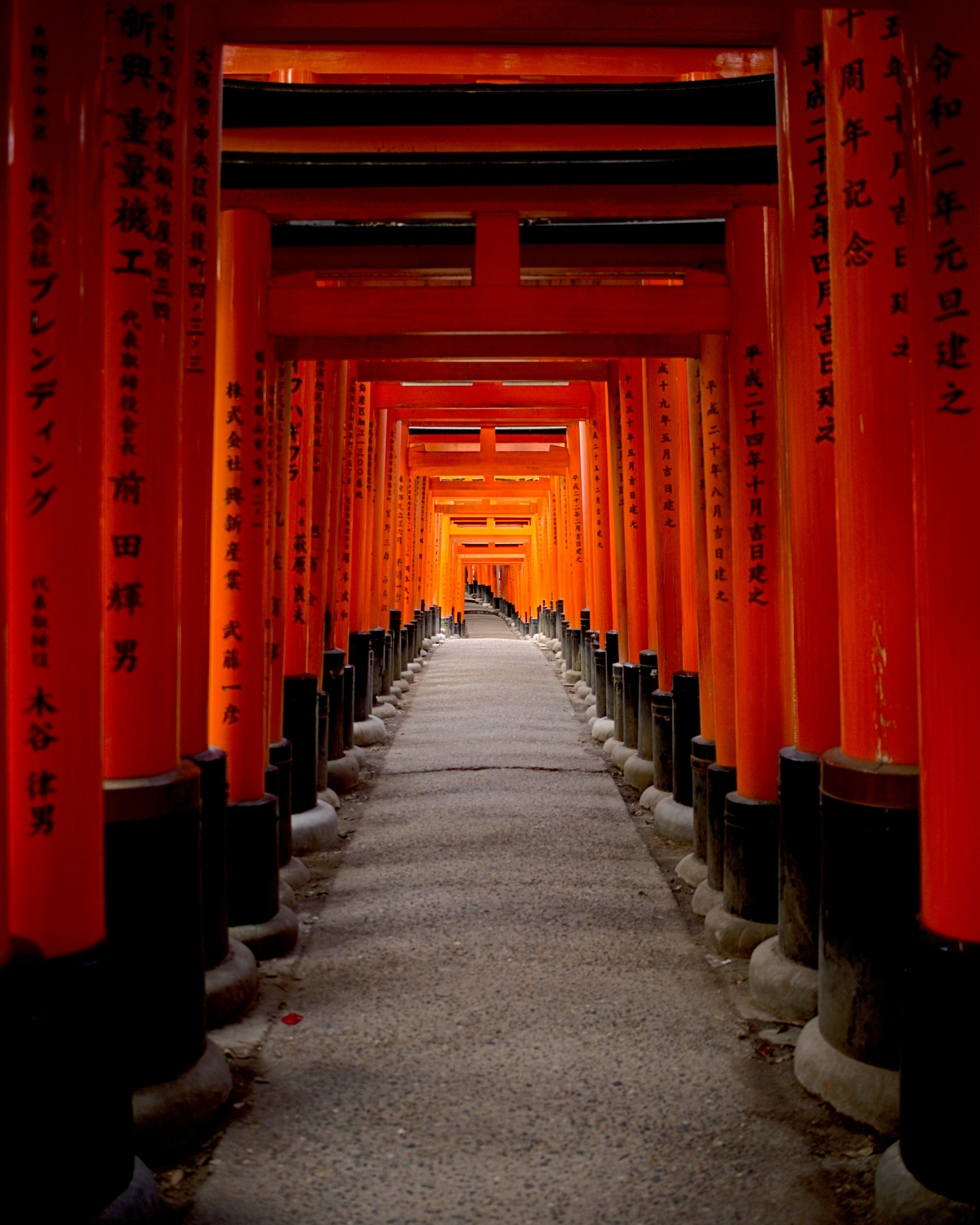 Senbon Torii 3