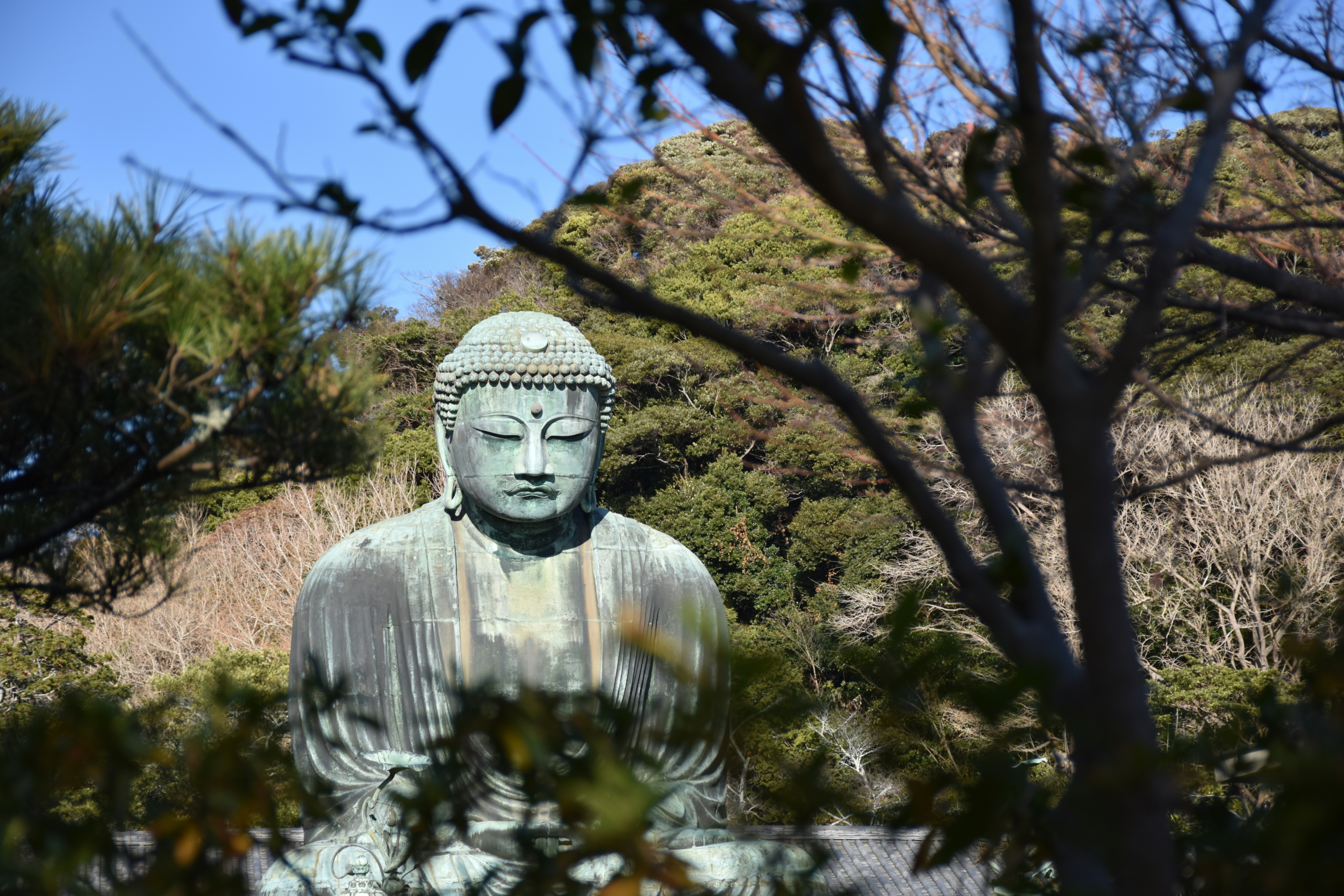 Great Buddha of Kamakura 2