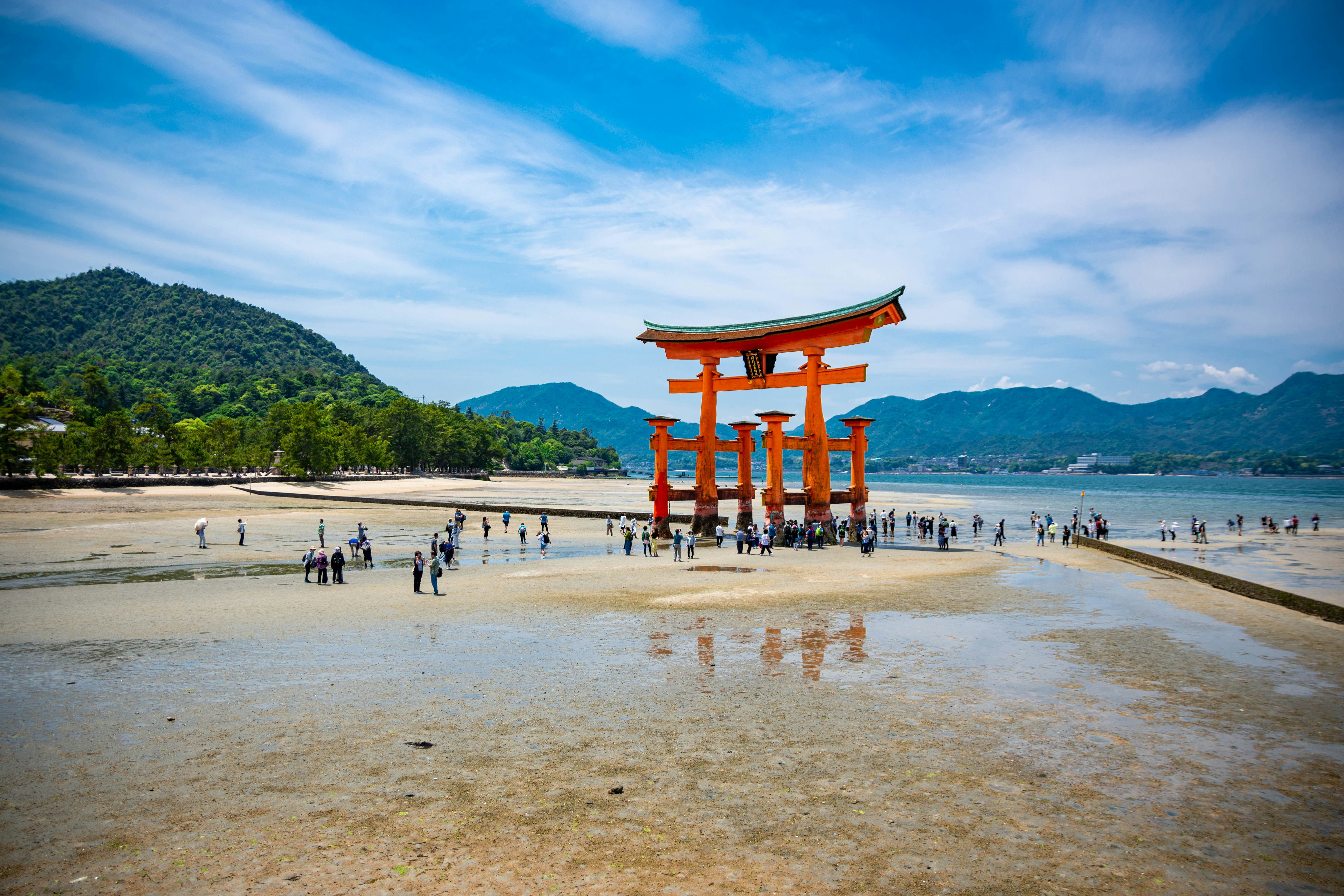 Miyajima 5