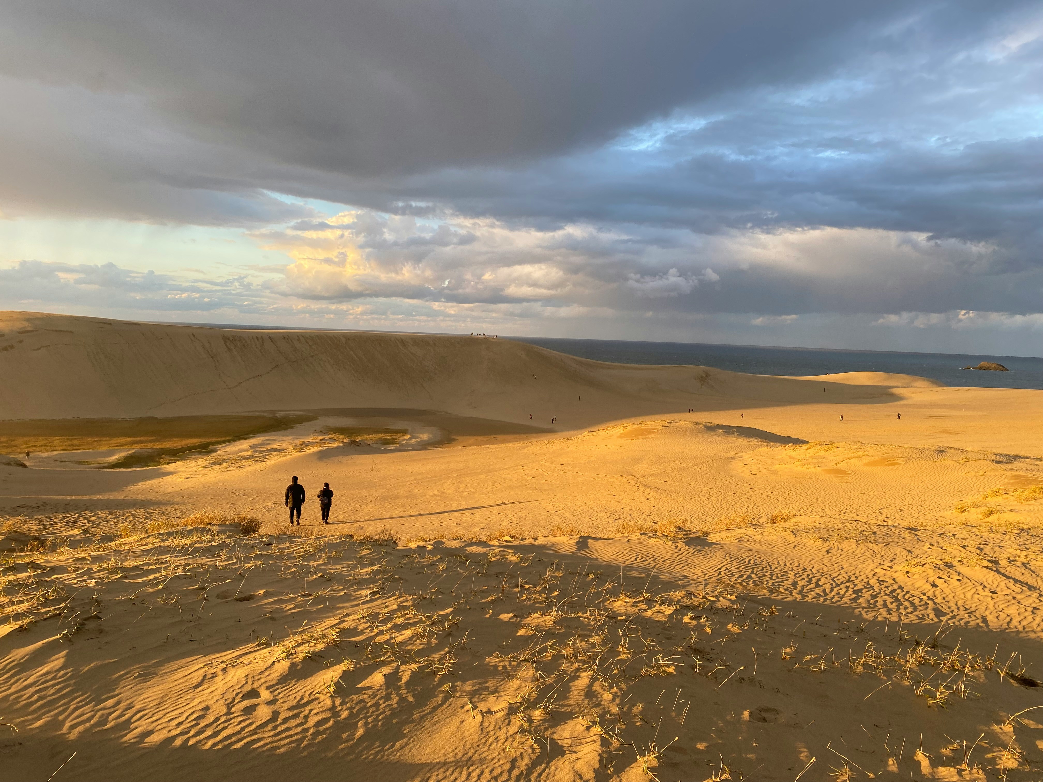 Tottori Sand Dunes 2