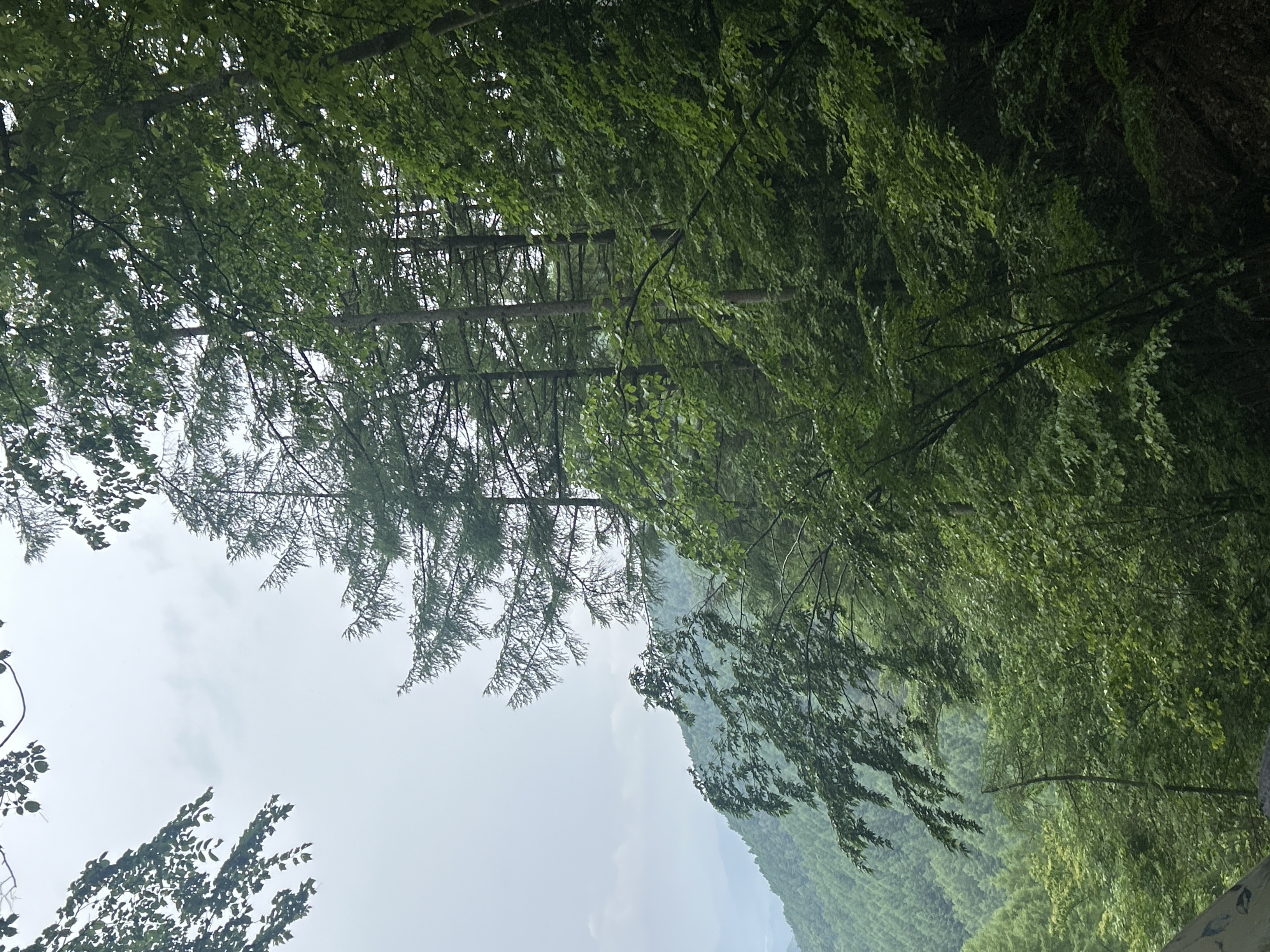 分杭峠（ゼロ磁場／氣場） 2