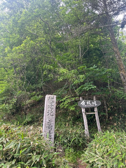 分杭峠（ゼロ磁場／氣場）