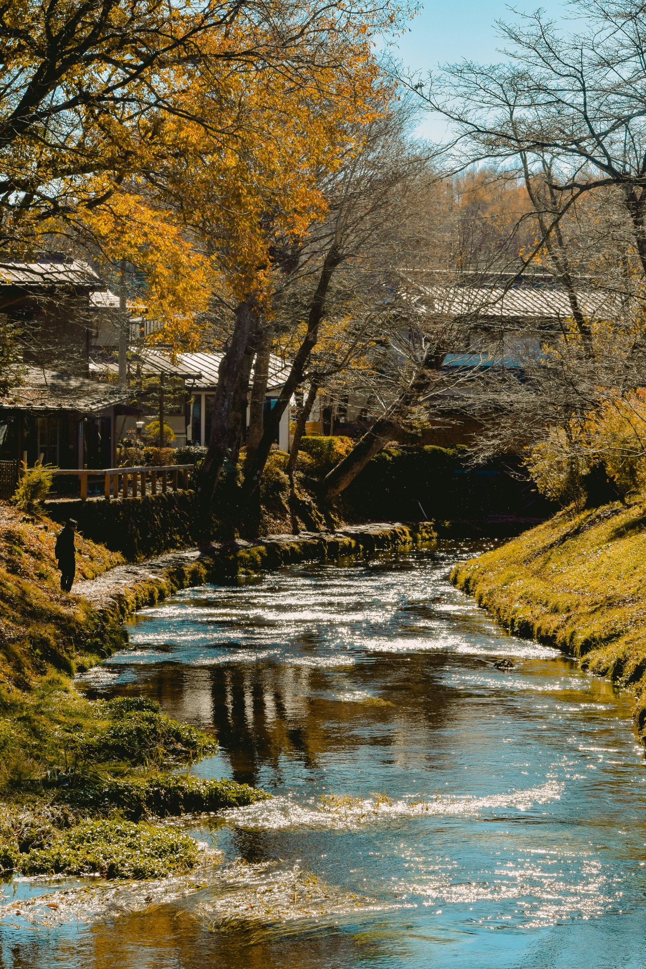 Oshino Hakkai 4