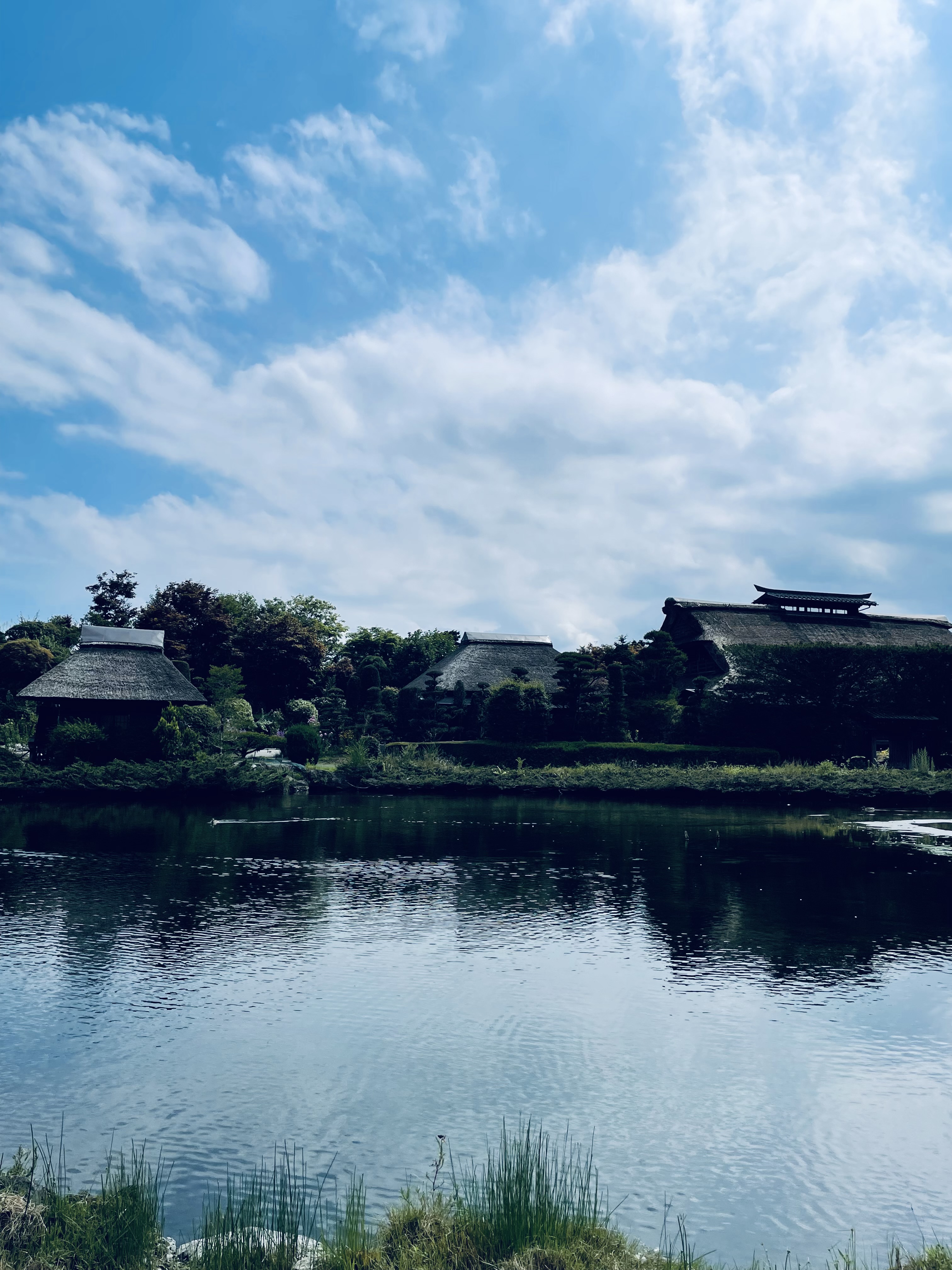 忍野八海 5