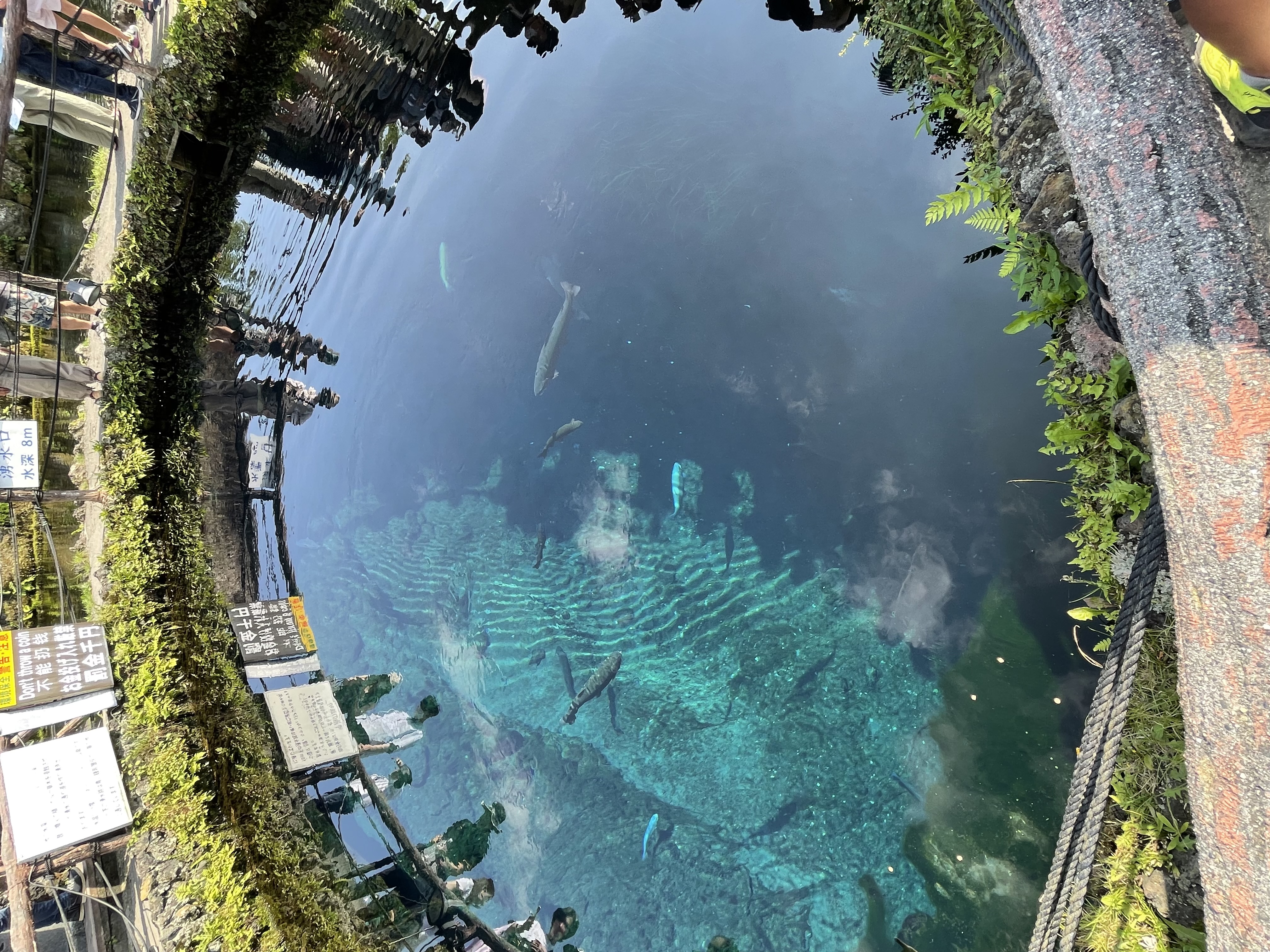 忍野八海 3