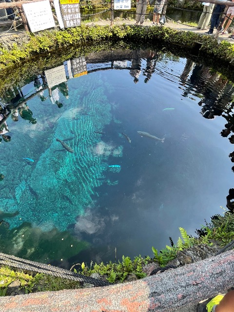 忍野八海