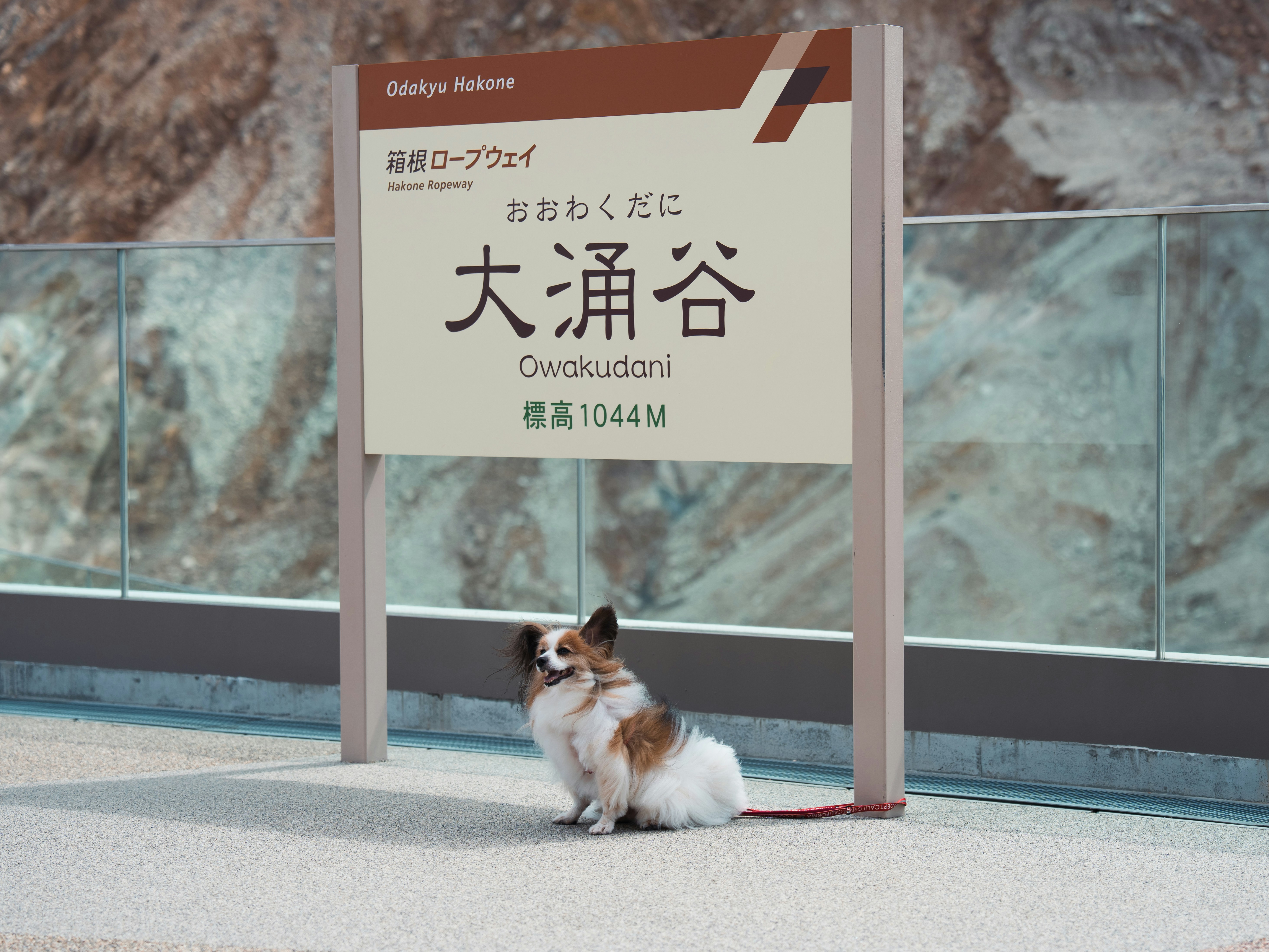 大涌谷 3