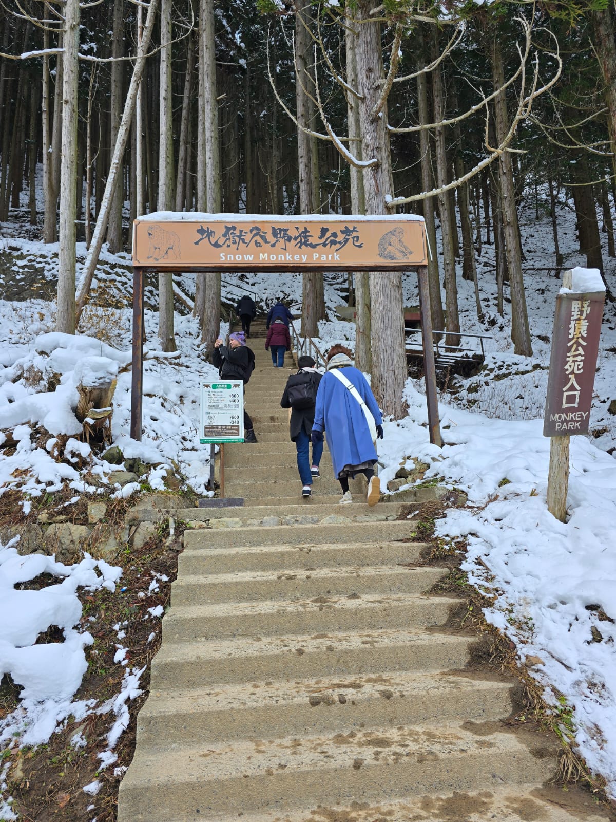 Jigokudani Yaen-koen 3