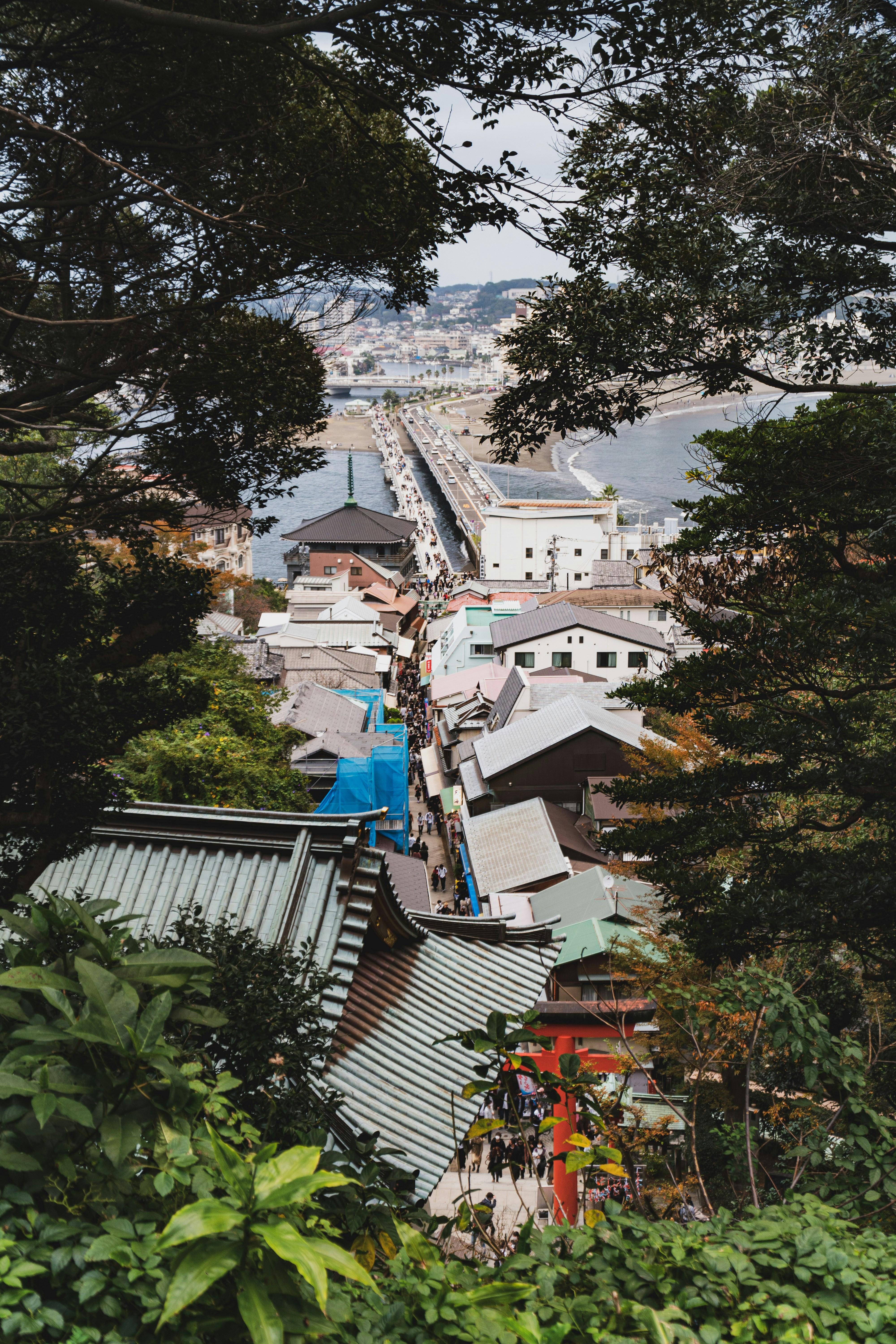 江の島 3