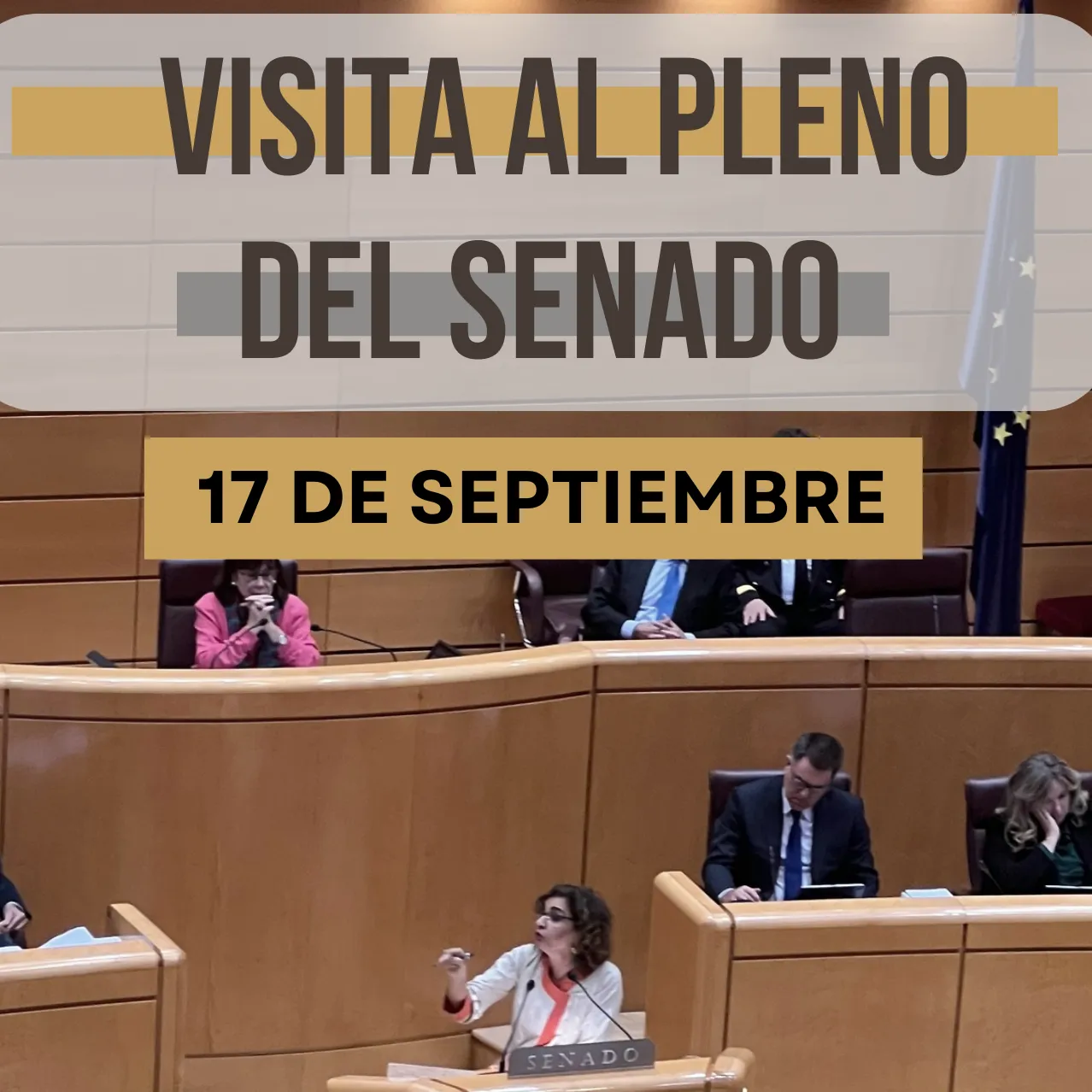 VISITA AL SENADO EN SESIÓN DE CONTROL AL GOBIERNO