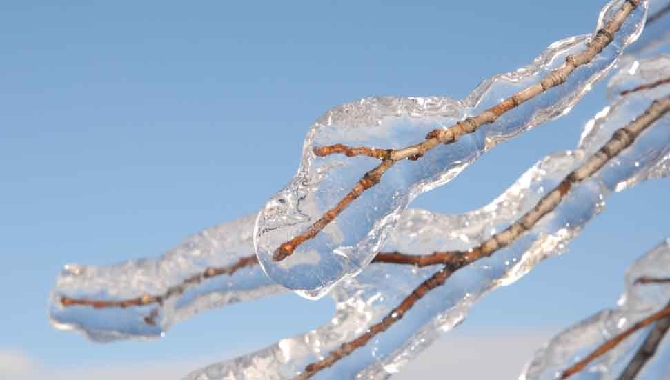 Yarın ve Hafta Sonu Don Olayı Bekleniyor: Hava Sıcaklıkları Yükseliyor