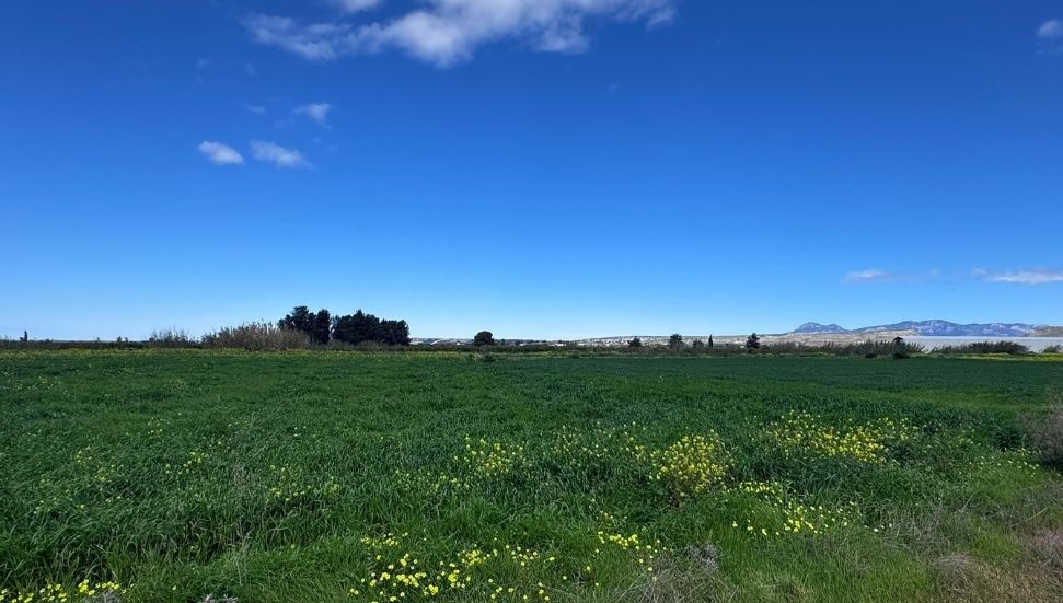 Tarım Bakanlığı, Yabani Ot Toplayanları Kimyasal Tehlikelere Karşı Uyardı