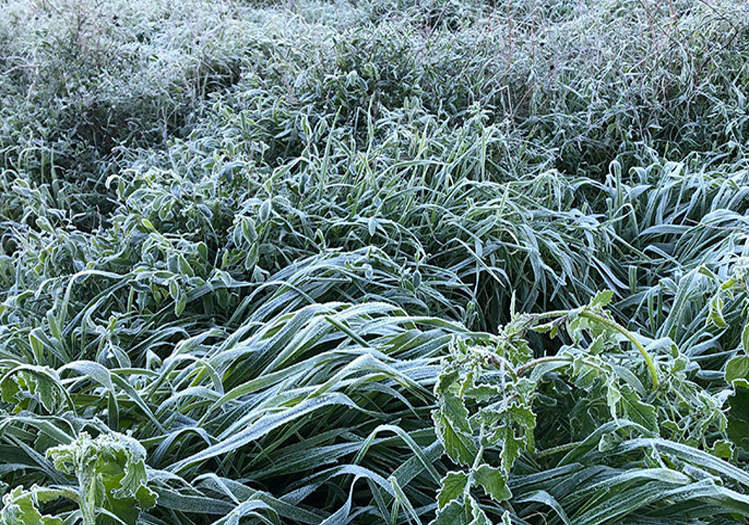 Don Olayı Bekleniyor: Bugün, Yarın ve Pazartesi Sabahları Dikkat!