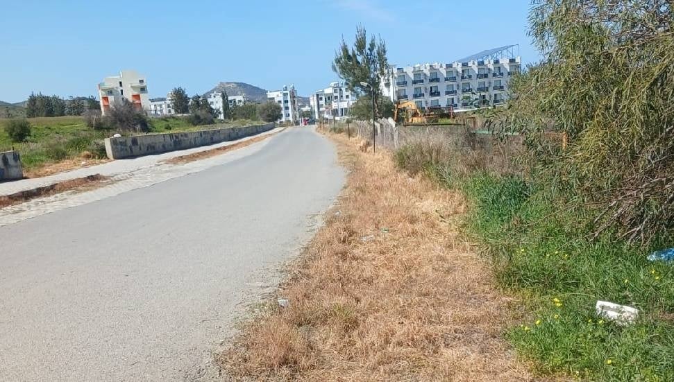 Lefke Derneği: Ot İlaçları Kuşları ve Ekosistemi Tehdit Ediyor