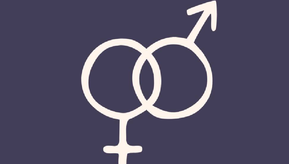 Toplumsal Cinsiyet Eşitliği Komitesi: Kadınların Eylemleri ve Sesleri Önemli