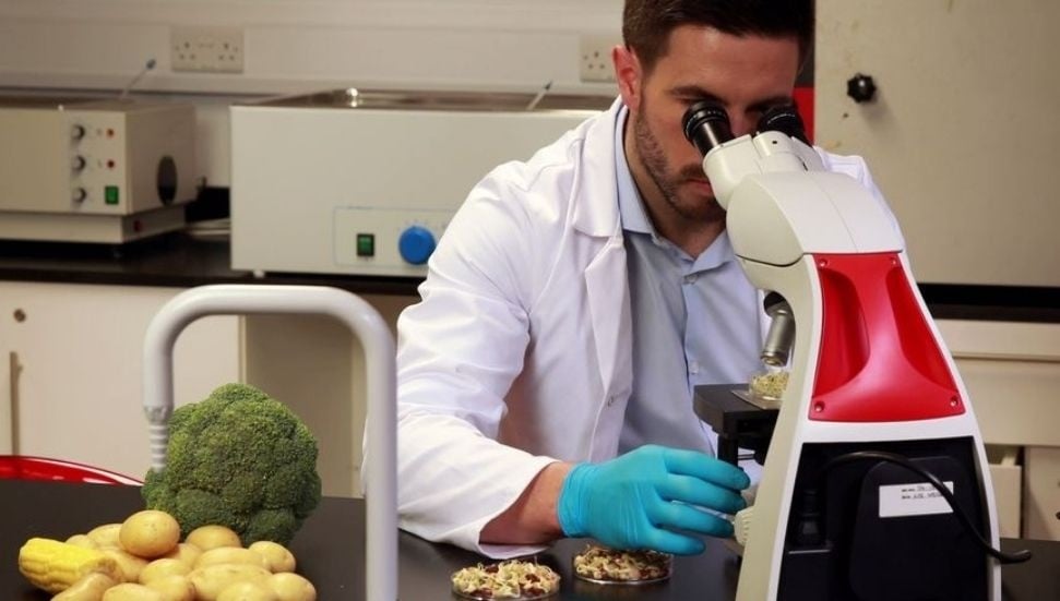 Haftalık Gıda Denetimlerinde Limit Üstü Pestisit Tespit Edildi