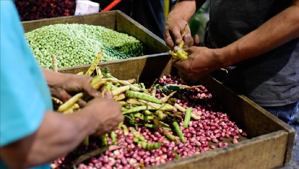 FAO: Küresel gıda fiyatları 5 ay aradan sonra yükselişe geçti