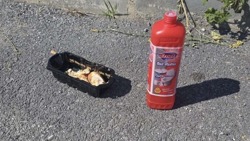 Metehan'da Sokak Hayvanlarına Tuz Ruhu İle Zehirleme İddiası