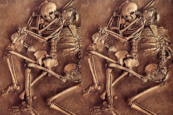 700 Yıl Önceki Pandeminin Etkileri ve Bitki Çeşitliliği