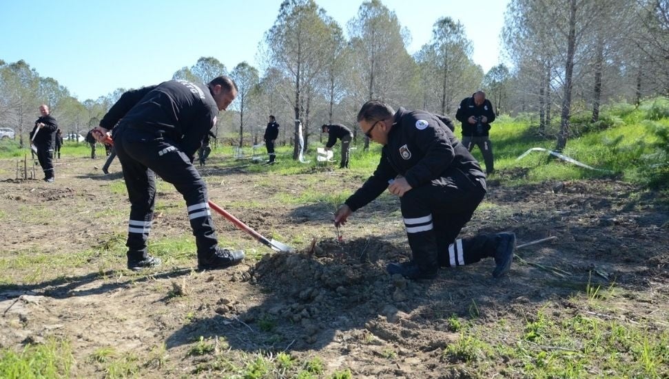 Sivil Savunma Teşkilatı, 9 Mart'ta 157 Zeytin Fidanı Dikti