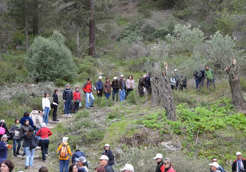 14. Orkide Vadisi Gözlem Yürüyüşü Pazar Günü Gerçekleşecek