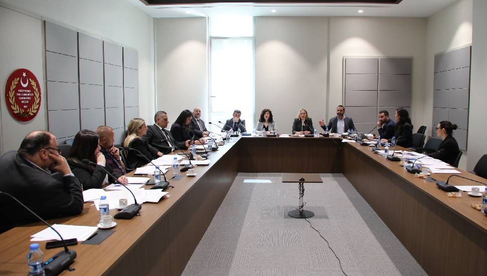 Ceza (Değişiklik) Yasa Tasarısı, Meclis Komitesinde Görüşüldü