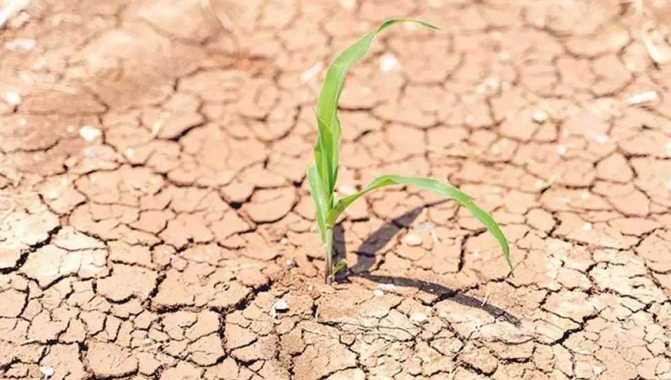 Orta Doğu'da Su Krizi ve Çatışmaların Etkileri Artıyor