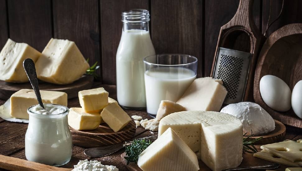 Süt Ürünleri İmalatçıları Birliği'nden ithalat kısıtlaması talebi