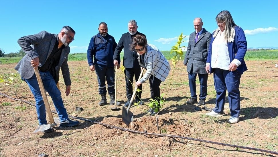 Zerrin Üstel, Fidan Dikim Etkinliğinde Kadınların Gücüne Vurgu Yaptı