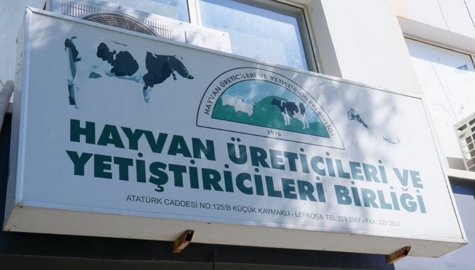 Hayvancılık Sektörü Çökerken Üreticilerden Acil Önlem Çağrısı