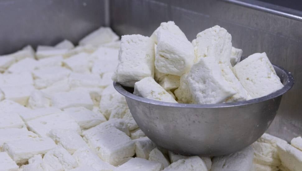 Güney Kıbrıs'ta Şap Hastalığı Hellimi Tehdit Ediyor: Ortak Pazar Riski