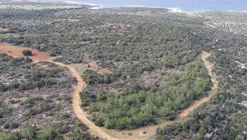 62 Kuruluştan Tepki: Ormanlar Devredilemez ve Pazarlanamaz