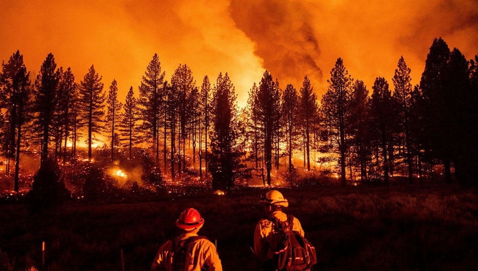 AB, Orman Yangınlarıyla Mücadele İçin Yeni Strateji Geliştiriyor
