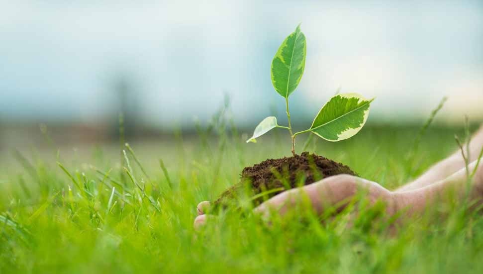 Dünya Sıfır Atık Günü'nde Yeniden Yaşam Atölyeleri Etkinliği