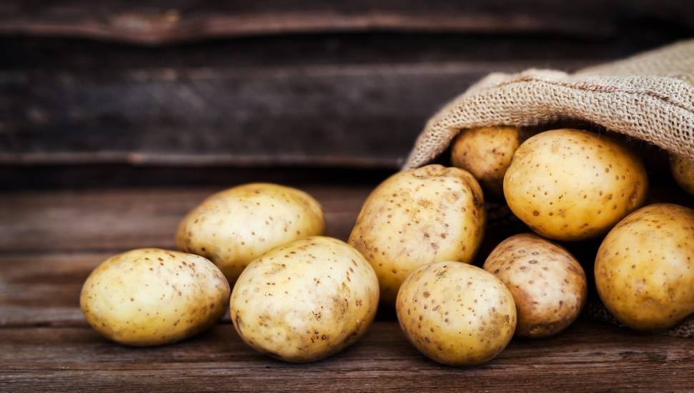 İran Krizi Güney Kıbrıs Patates İhracatını Olumsuz Etkiliyor