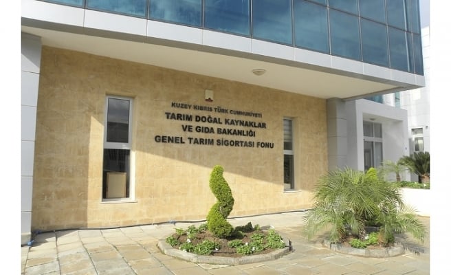 Küçükbaş Hayvan Başına Destek Ödemesi Açıklandı