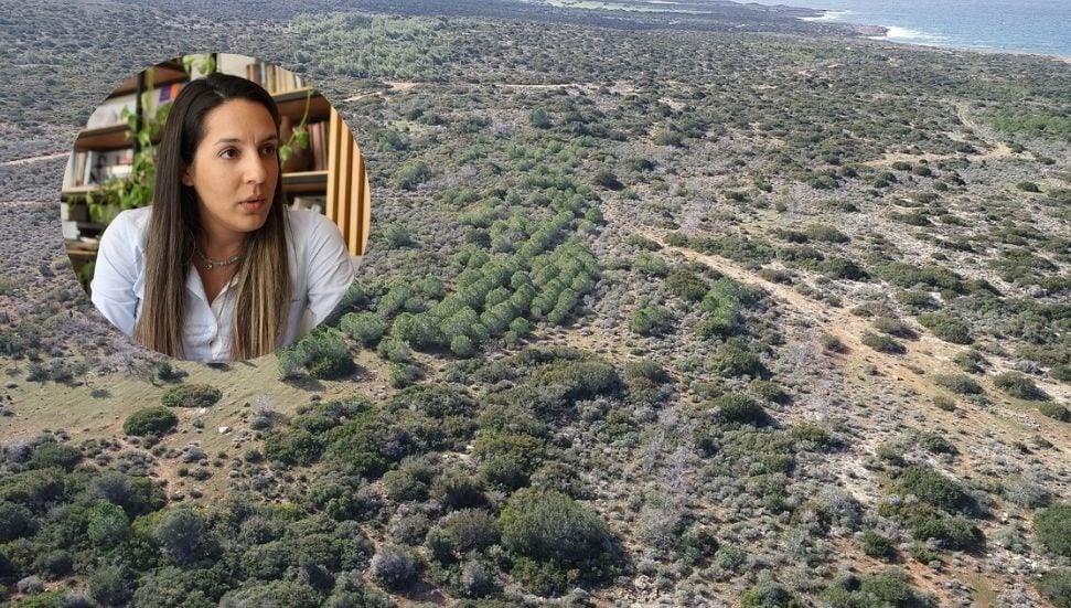 Feriha Tel: İTÜ arazisi Cumhurbaşkanı tarafından Meclis’e iade edildi