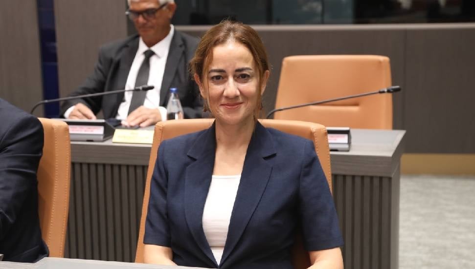 Doğuş Derya: Erken seçim kaçınılmaz, Haziran ayını işaret etti
