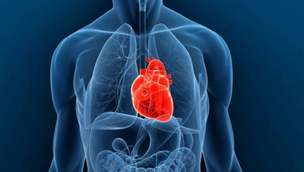 İkinci Kalp Nakli: 55 Yaşındaki Hastaya Ender Bir Başarı Gerçekleşti