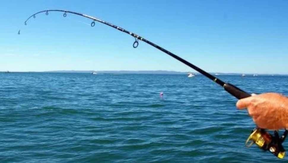 Alagadi 2 Özel Koruma Bölgesi'nde balık avına 60 bin TL ceza!