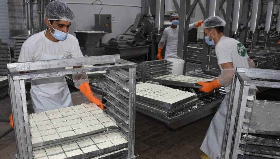 KTSO: Yeşil Hat ile hellim ihracatındaki engel kalktı