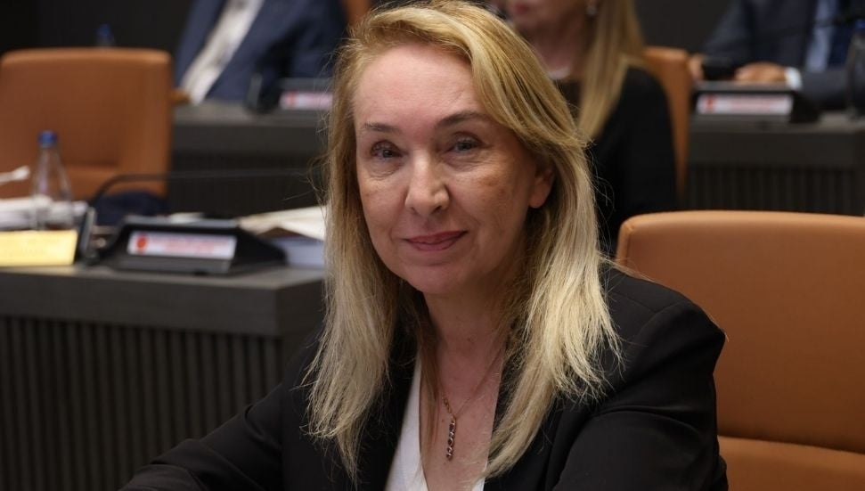 Filiz Besim, hükümeti ifade özgürlüğüne müdahale nedeniyle eleştirdi