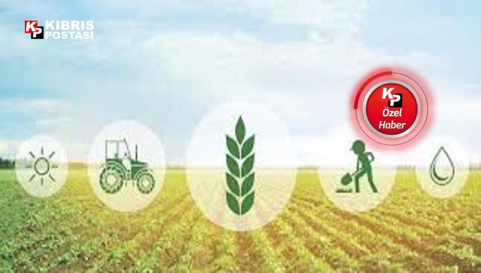 Tarımsal Araştırmada Yeni 'Konsey Modeli' İle Dönüşüm Bekleniyor