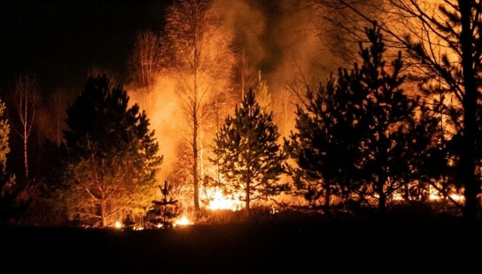 Georgia'da Orman Yangınları: 120'den Fazla Ev Kullanılamaz Hale Geldi