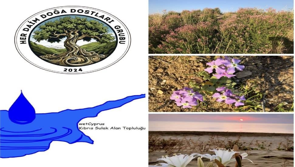 Salamis Sulak Alanı için gönüllü temizlik etkinliği düzenleniyor