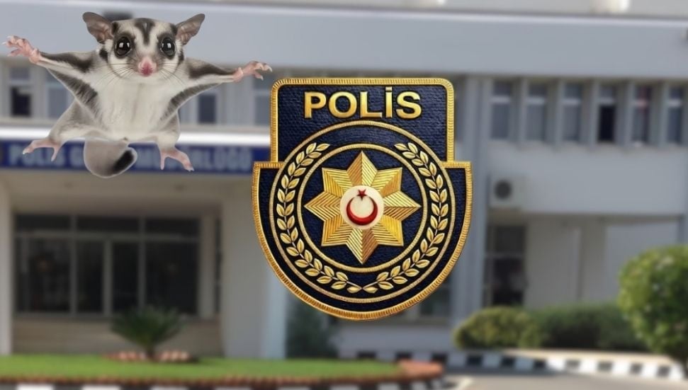 Lapta'da Yasaklı 6 Şeker Planörü Bulundu, 1 Kişi Tutuklandı