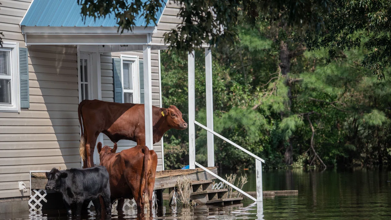 Inundaciones