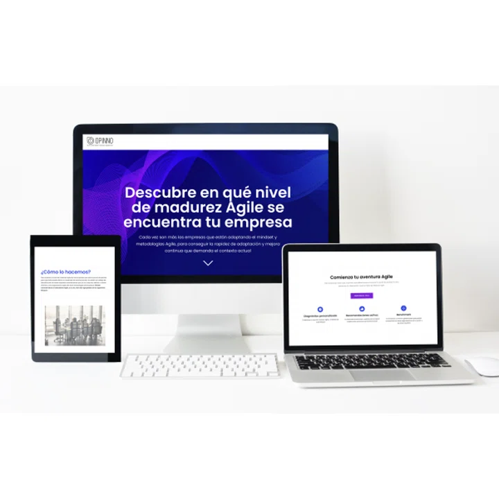 Índice de madurez Agile