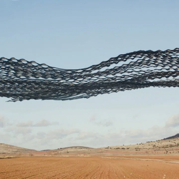 Adaptation and Innovative Leadership Before It's Too Late